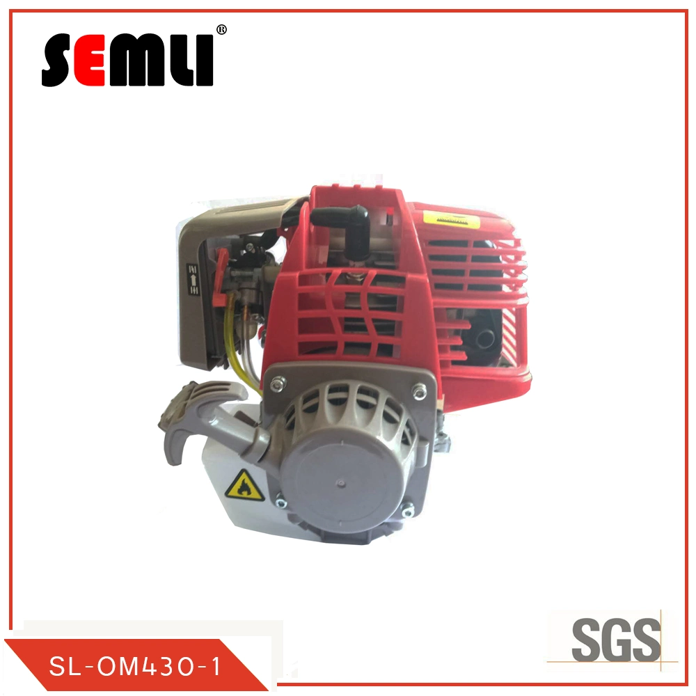 Petrol 2-Stroke Engine Boat Stern-Drive Outboard Marine Engine Motor