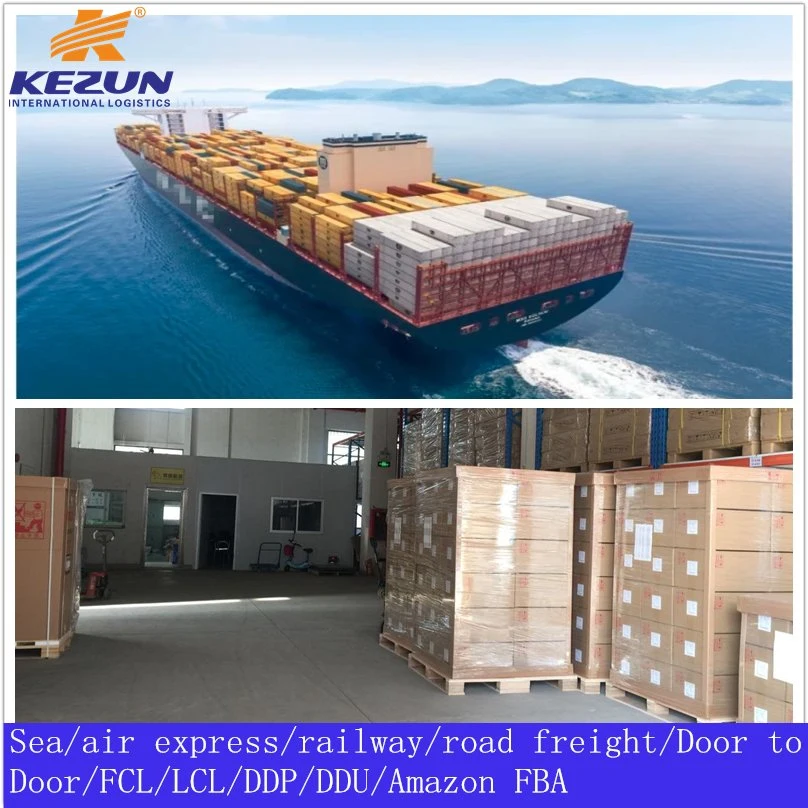 Professional Logistics Sea/Ocean Freight Shipping Company From China to Sudan with Customs Tax/Duty