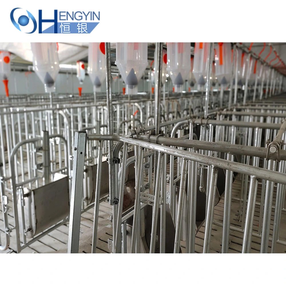 Automatic Feeding Trough Chain Feeding System Livestock Feed Trough