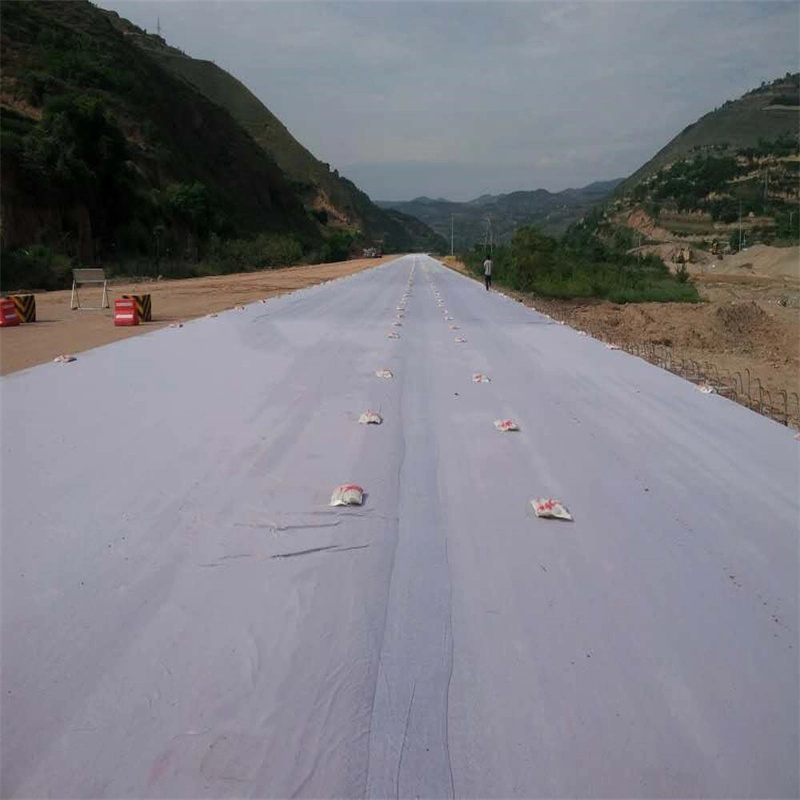 Pet Polyester Polypropylene PP Needle Punched Non-Woven Geotextile Fabric, for Landfill Water Tank Road Construction 150gram 200gram 250gram 150 200 250 Gram