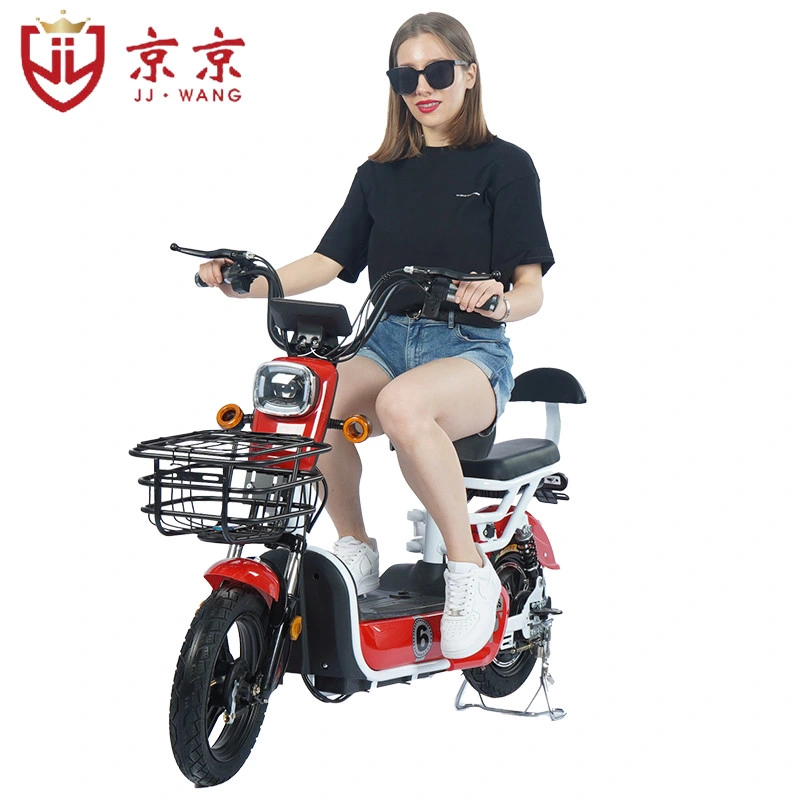 Not Foldable 48V Electric Bike with Turn Light and Speed Display for Adults E-Bike