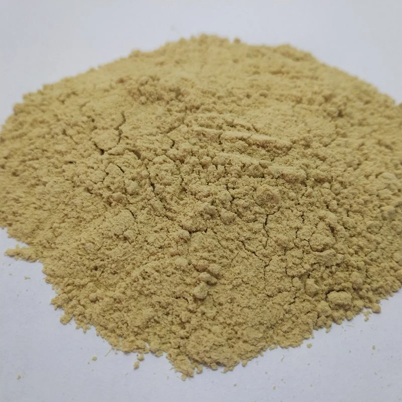 30-70 Mesh Dehydrated Ginger Powder