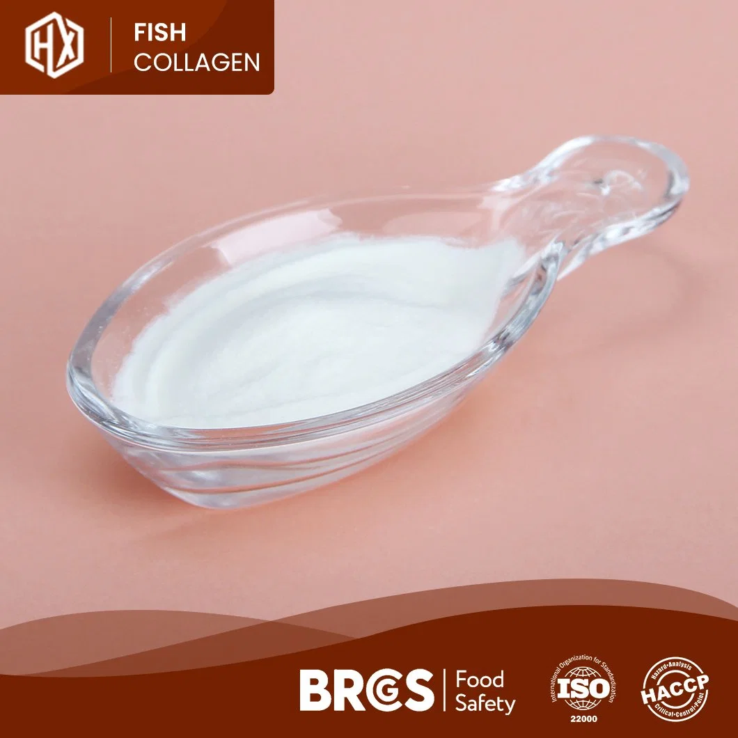 Haoxiang Fish Original Collagen Powder Supplier Supplement Vital Proteins Fish Collagen Beauty 500-1000dal/300-500dal Molecular Weight Tilapia Scale Collagen