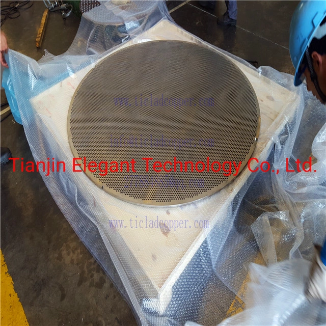 Forged Tubesheet for Heat Exchanger/ Titanium Tube Bundle/ Titanium Perforated Sheet