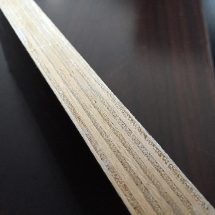 1250*2500*18mm WBP Glue Construction Material Film Faced Plywood for Europe Market