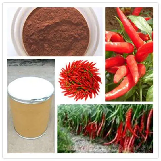 طبيعي 95 ٪ capsaicin Capsicinoids أحمر Pepper مستخرج Capsicum مسحوق