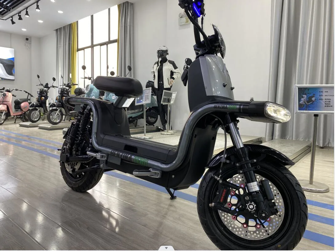 Elektro Motorrad U1 Plus Elektro-Lieferung Scooter Cargo Fahrzeug