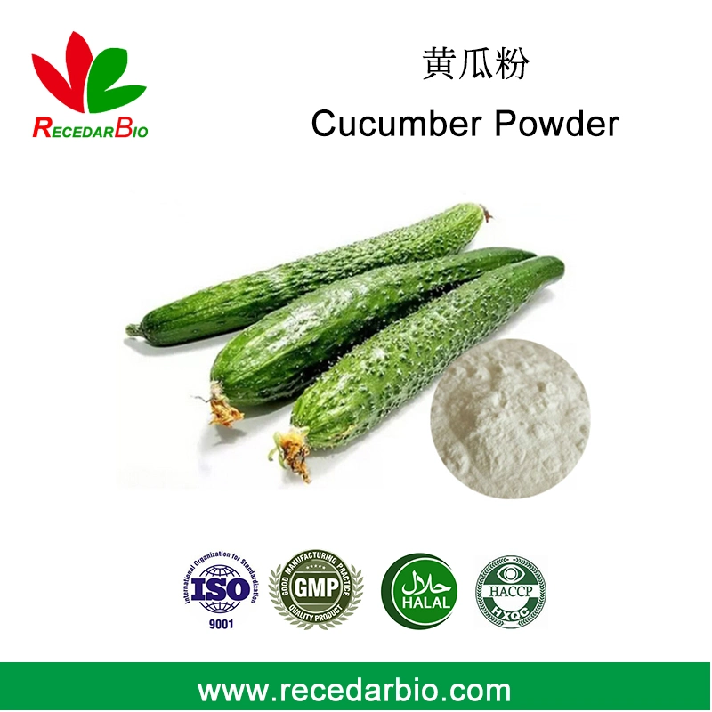 100% Natural Spray Drying Vegetable Powder Cucumber Powder