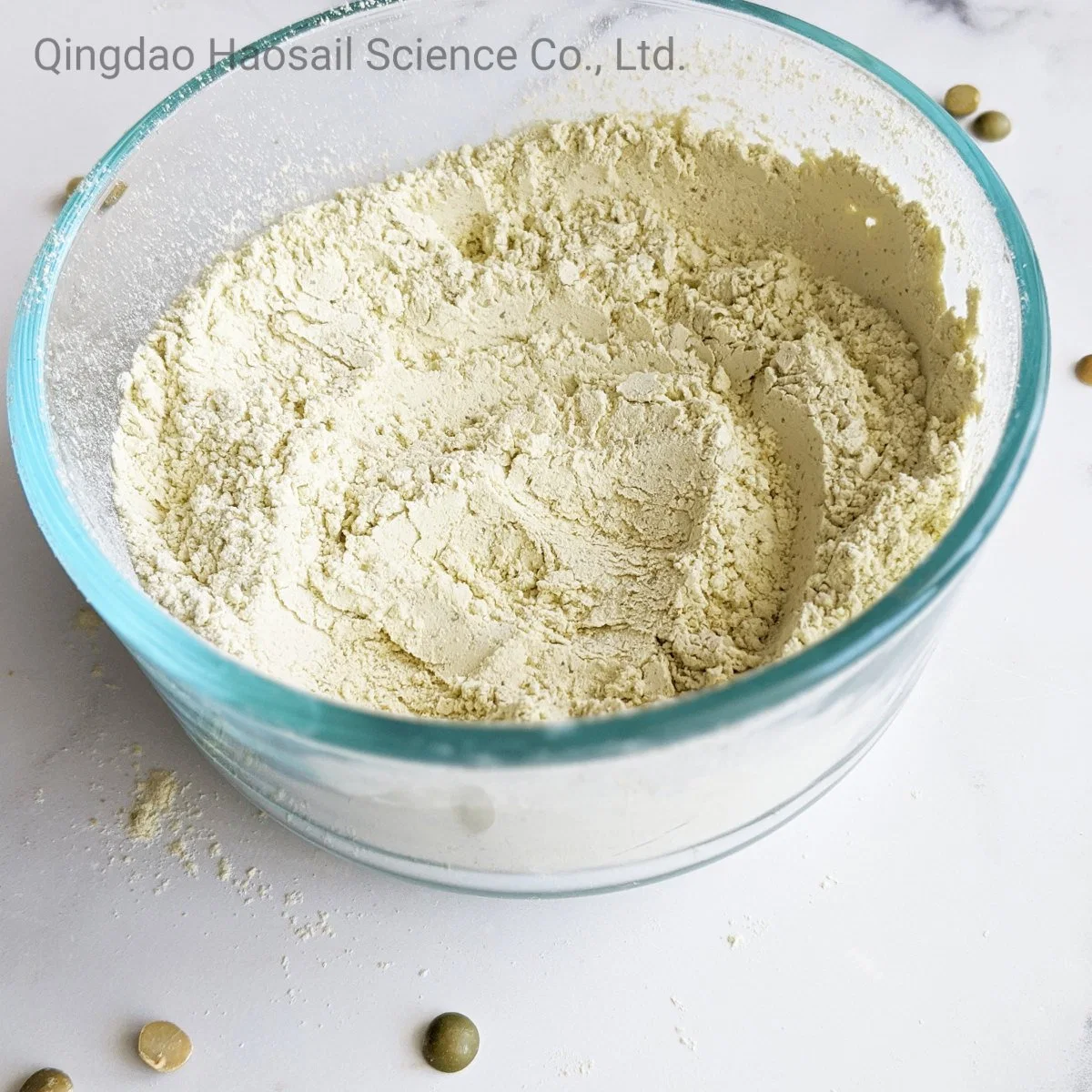 Manufacture Bulk Protein Powder Organic Protein Pea Protein