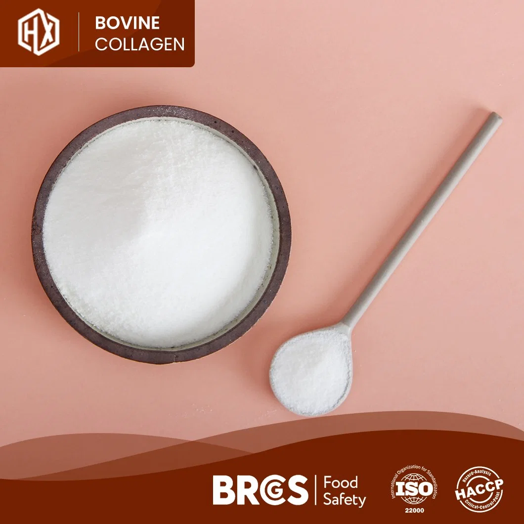 Haoxiang OEM Customized Collagen Peptide From Bovine Hide Good Quality Bovine Collagen Powder Easily Dissloved China Supplier Quality Bovine Collagen Tablet