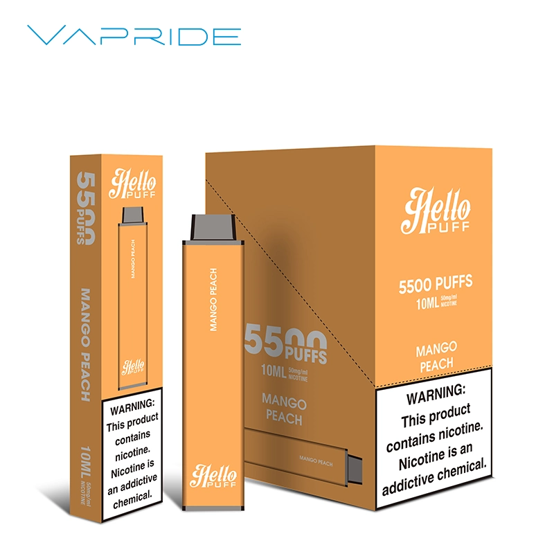 Pre-Filled 5000puffs 6000 Puff Bars Disposable/Chargeable Vape Pen Style 5% E Juice