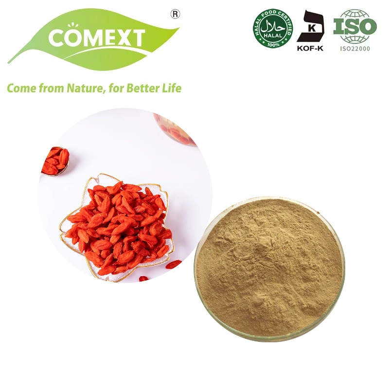 Comext Hot and Organic Product Goji Berry Extract Powder Goji Extract