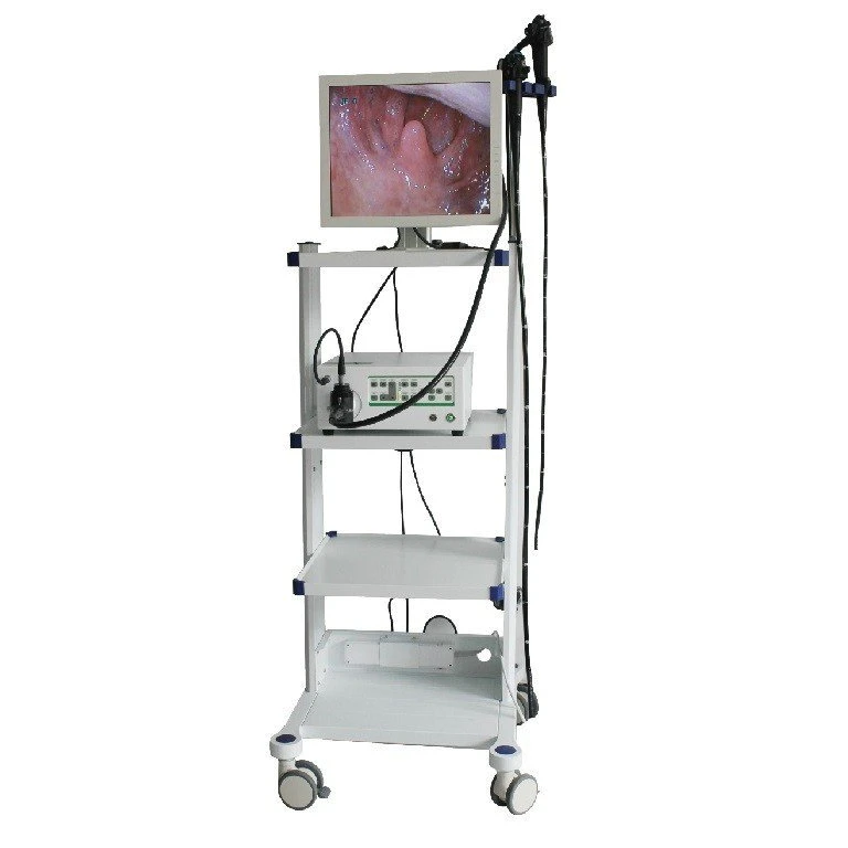 Медицинские портативное видео Bronchoscopy Ent Endoscpe Nasopharyngoscope и по правам человека и проверки