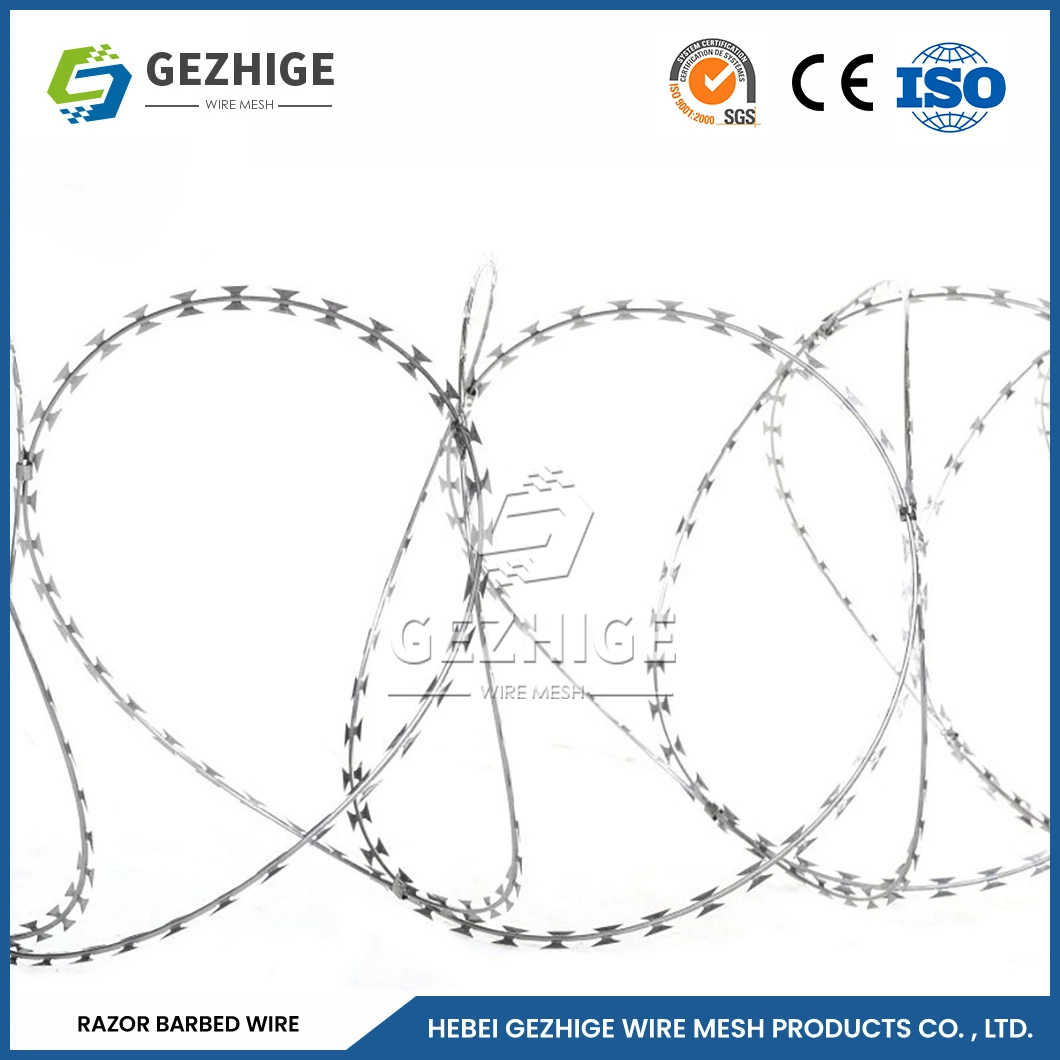 Gezhige Residential Barbed Wire Wholesale/Supplierr 60mm Needle Spacing Cross Type Razor Wire China 5mm Diameter Steel Razor Wire