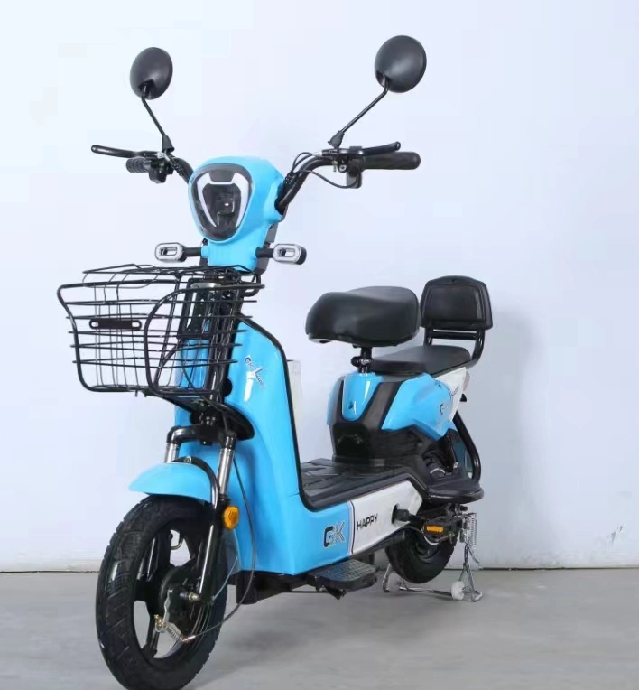 Elektrisches Fahrrad Erwachsene Roller Elektrisches Motorrad