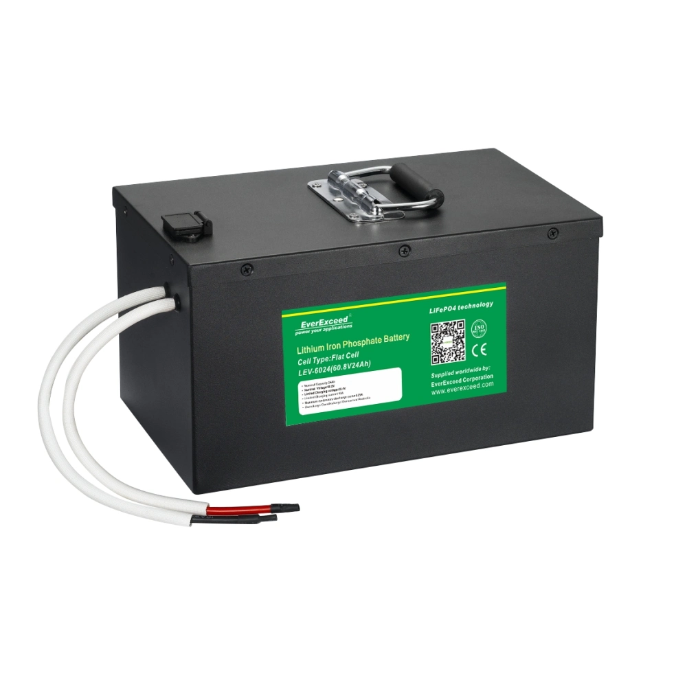 Everexceed 64V 155ah Hybrid and Electric Vehicles Lithium Iron Battery