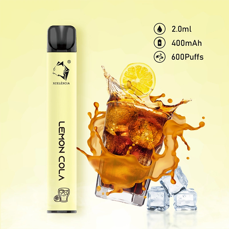 Wholesale/Supplier 600 Puff Price 2ml Juice Disposable/Chargeable Vape Electronic Cigarette Pod Pen