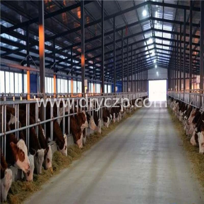 Prefabricated Steel Structure Livestock Farmhouse and Modular Steel Livestock Barn