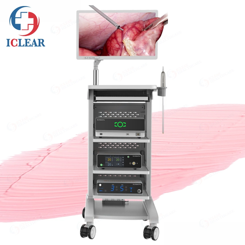 Medical Anti-Fog 3D Video Thoracic Laparoscopy Endoscopy System