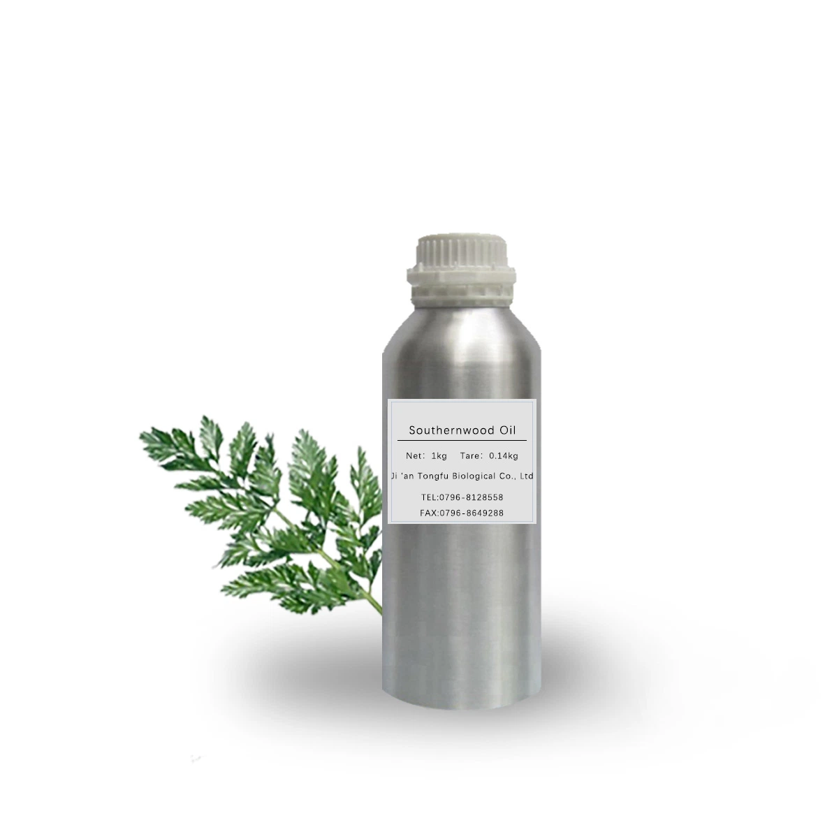 Skin Care Organic Artemisia Annua Oil with Competitive Price