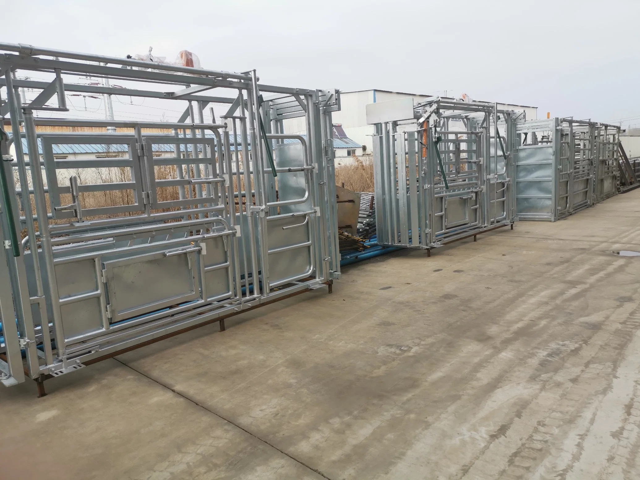 Hot Dipped Galvanised Cattle Squeeze Chute