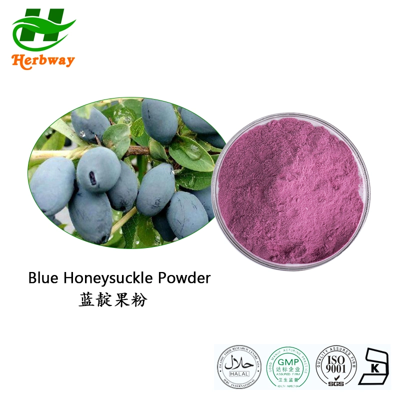 Herbway Free Sample Lonicera Caerulea Var. Edulis Blue Honeysuckle Fruit Powder for Beverages