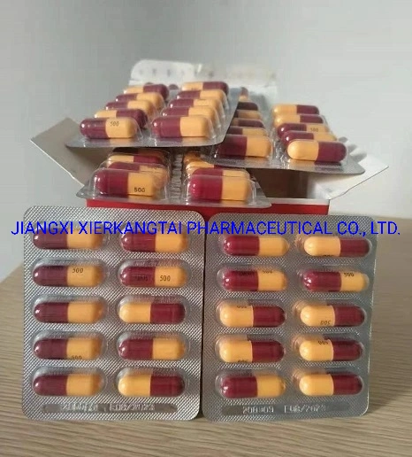 Amoxicillin Capsule 500mg 250mg GMP Certificated