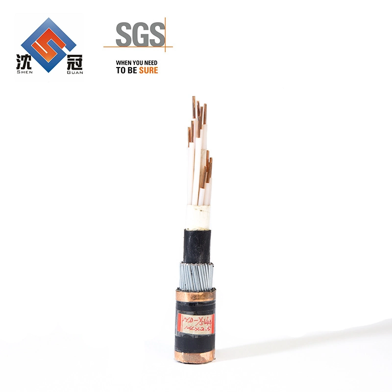 Shenguan 0.6/1kv Testing Computer Instrumentation Cable Single Core Wire AC Power Cord Cable 220V 3.6/6kv 185mm2 Electric Underground Sta Power Cab