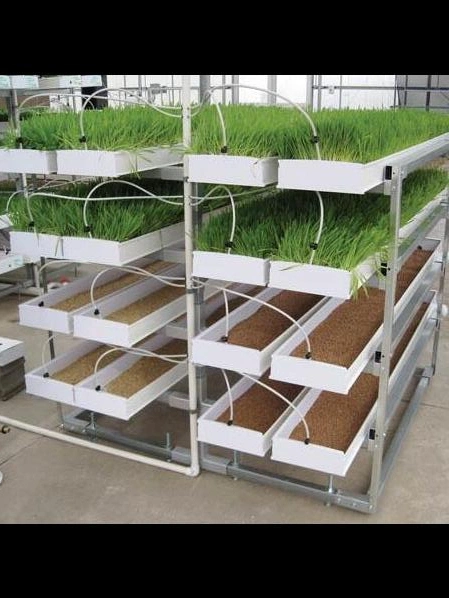 Granja de producción Microgreens hidropónico Nft Vertical de los sistemas de canal de PVC con sistema de reciclaje de fertilizante