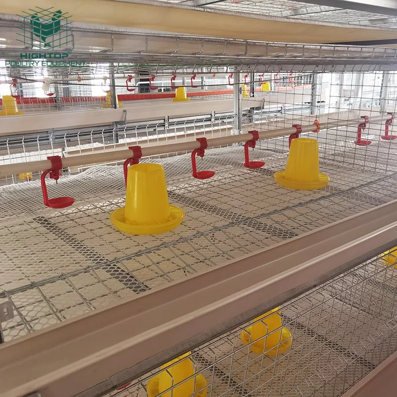 Las aves de corral arrojar Estructura de acero Mallas Soldadas las jaulas de pollos tipo H automática