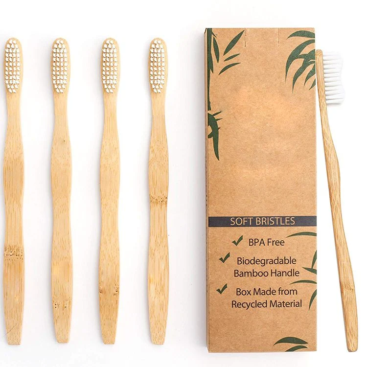 Ecco Friendly bambou produits brosse à dents de Bambou 100% nature organique biodégradable