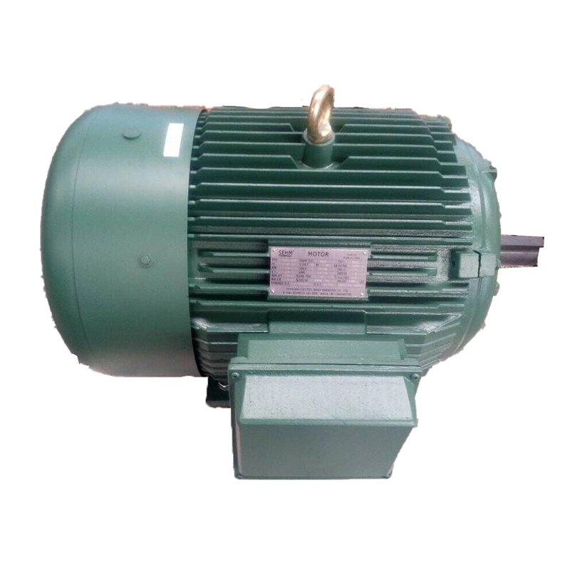 Three Phase Induction Motor 0.55kw~315kw Made in China with ABB AC Electric Motor Fan Motor