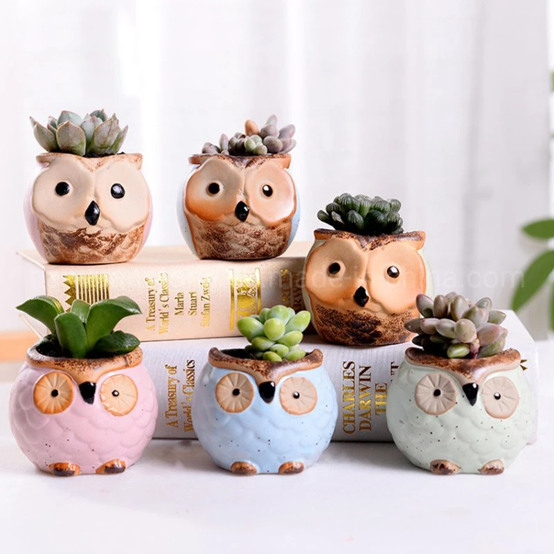 Macaron Owl Succulent Thumb Flower Pot Animal Decoration Ceramic Flower Pot