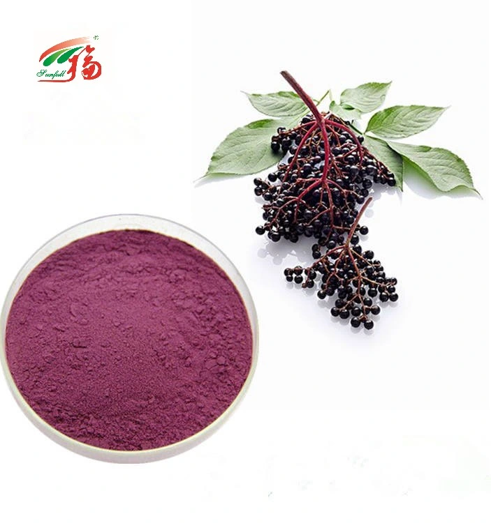 ISO SGS сертифицированы Anthocyanins Elderberry извлечения/ Elderberry фруктовый порошок для производства продуктов питания