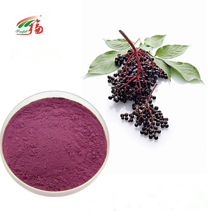 ISO Certificación SGS antocianinas Elderberry/ Elderberry Extracto de frutas en polvo para la alimentación