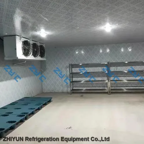 Cooling System Refrigerated Cold Storage Room for Low Temperature Food