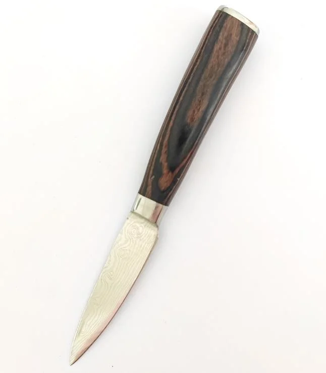 Factory Direct Supplier Wholesale/Supplier Cheap Price Steel Blade Kitchen Damascus Fruit Knife