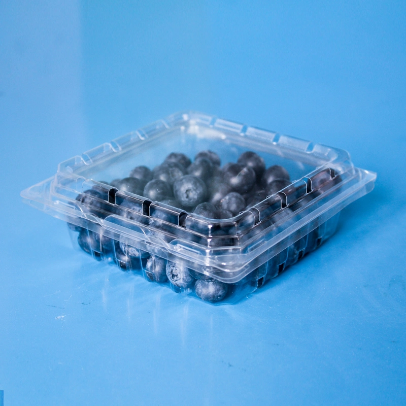 Disposable Clear Food Grade Fruit Container Packaging