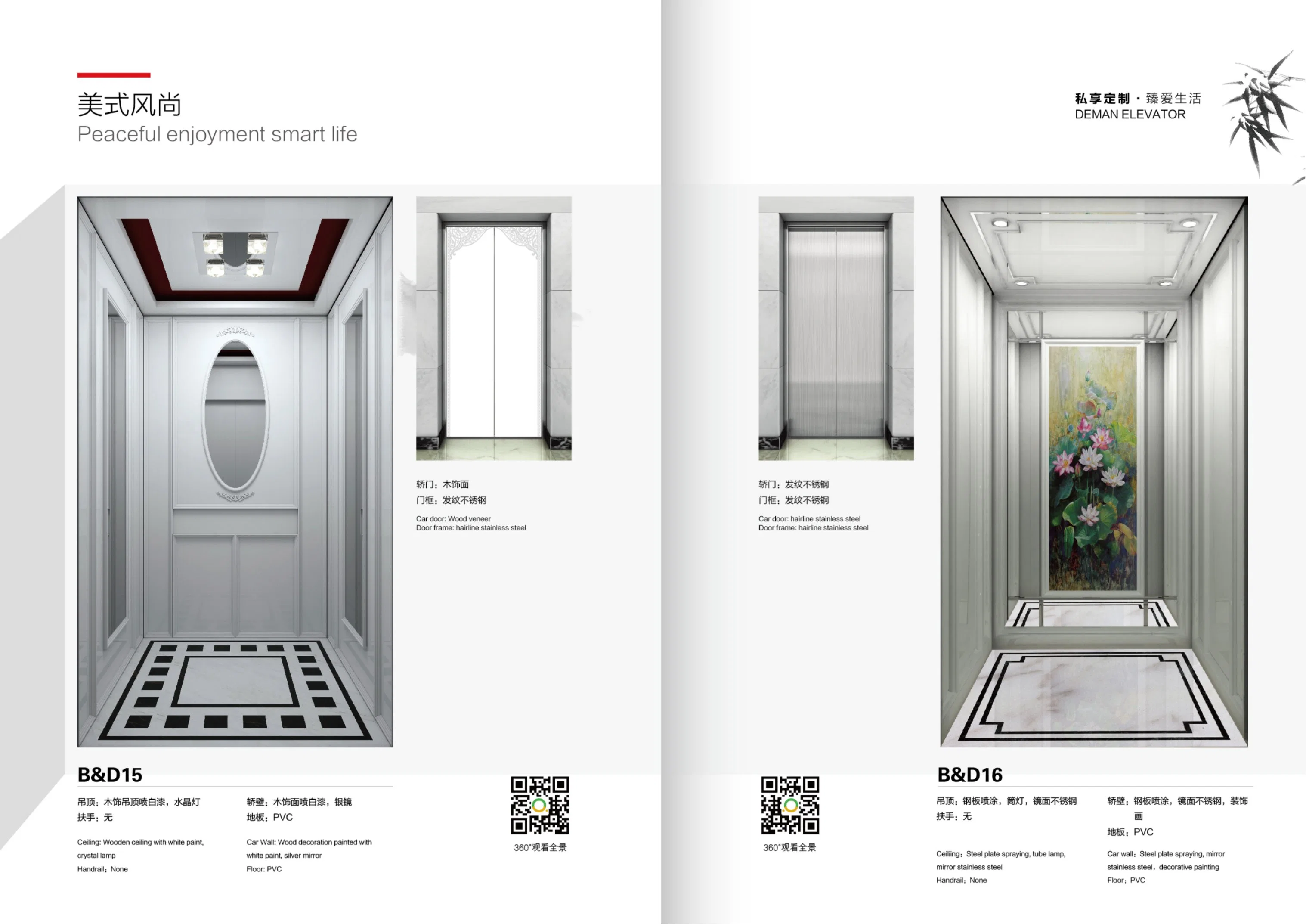 Eac Certified Glass and Etching Car Elevator for Russia Market