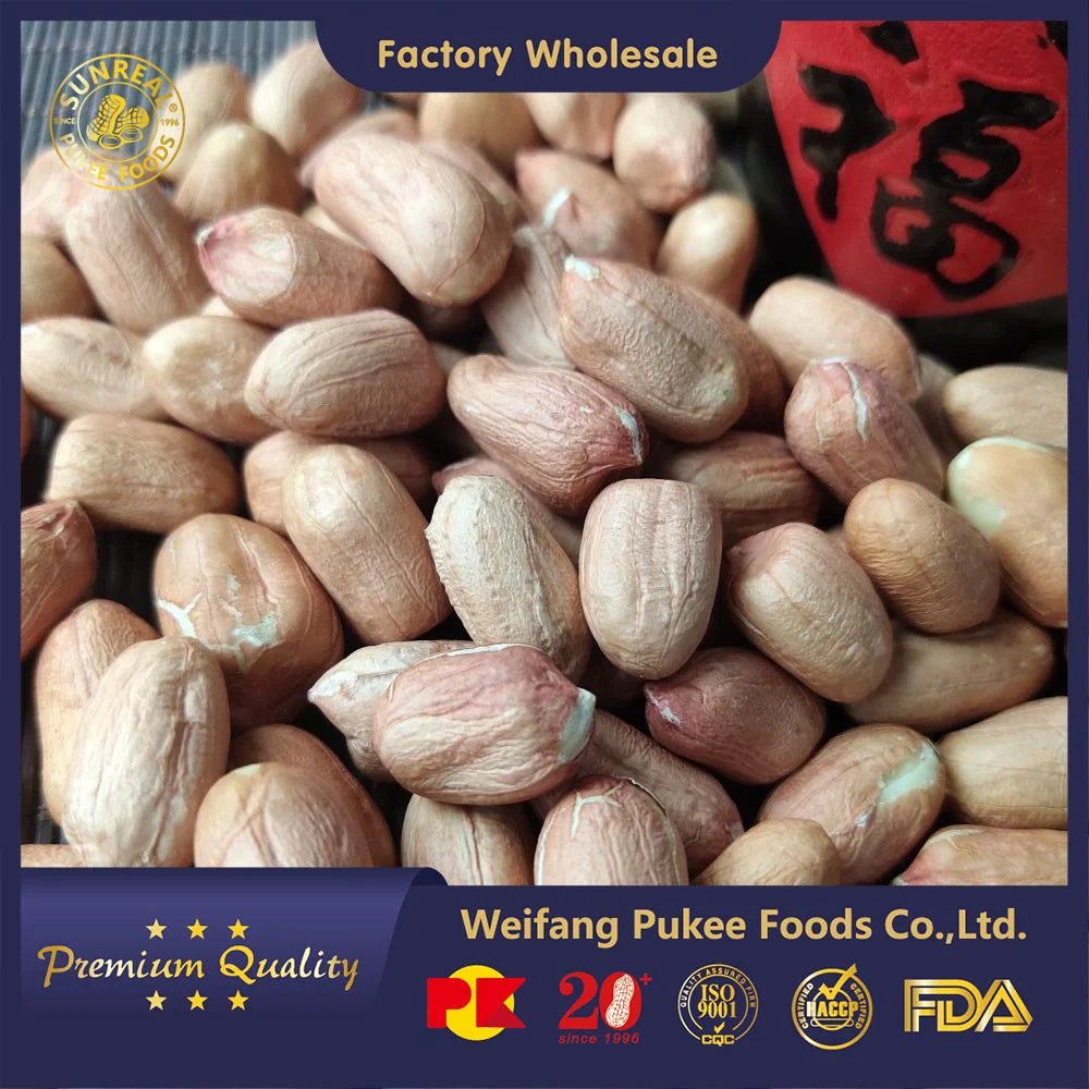 Raw Peanut Kernels Virginia 28/30 China/Reasonable Price/Satisfying Quality