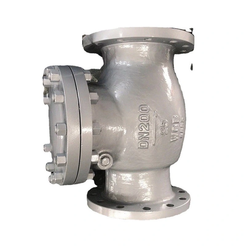 API/JIS/DIN Swing Check Valve Factory Derect Sell 150/300/Lb Wcb