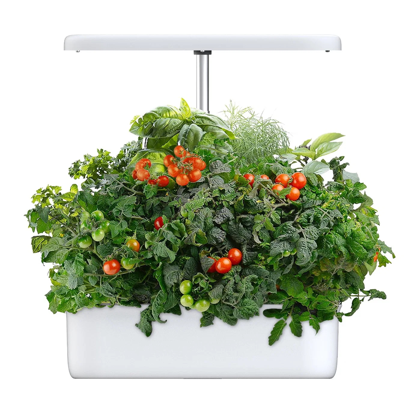 Support Indoor Grow Hydroponics System ODM OEM