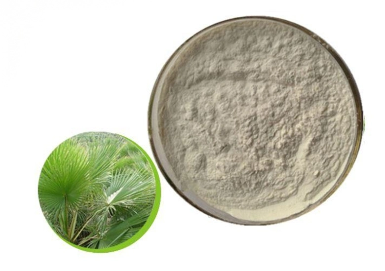 High quality/High cost performance 45% Fatty Acid Powder Saw Palmetto Extract Powder