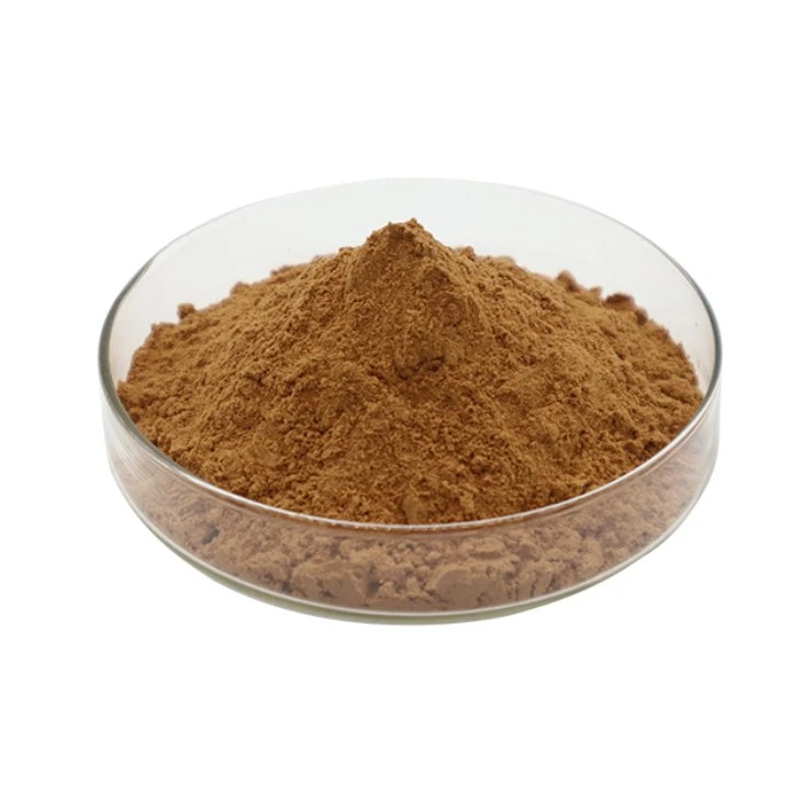 Supplier Wholesale/Supplier Melissa Officinalis/Lemon Balm Leaf Extract Powder