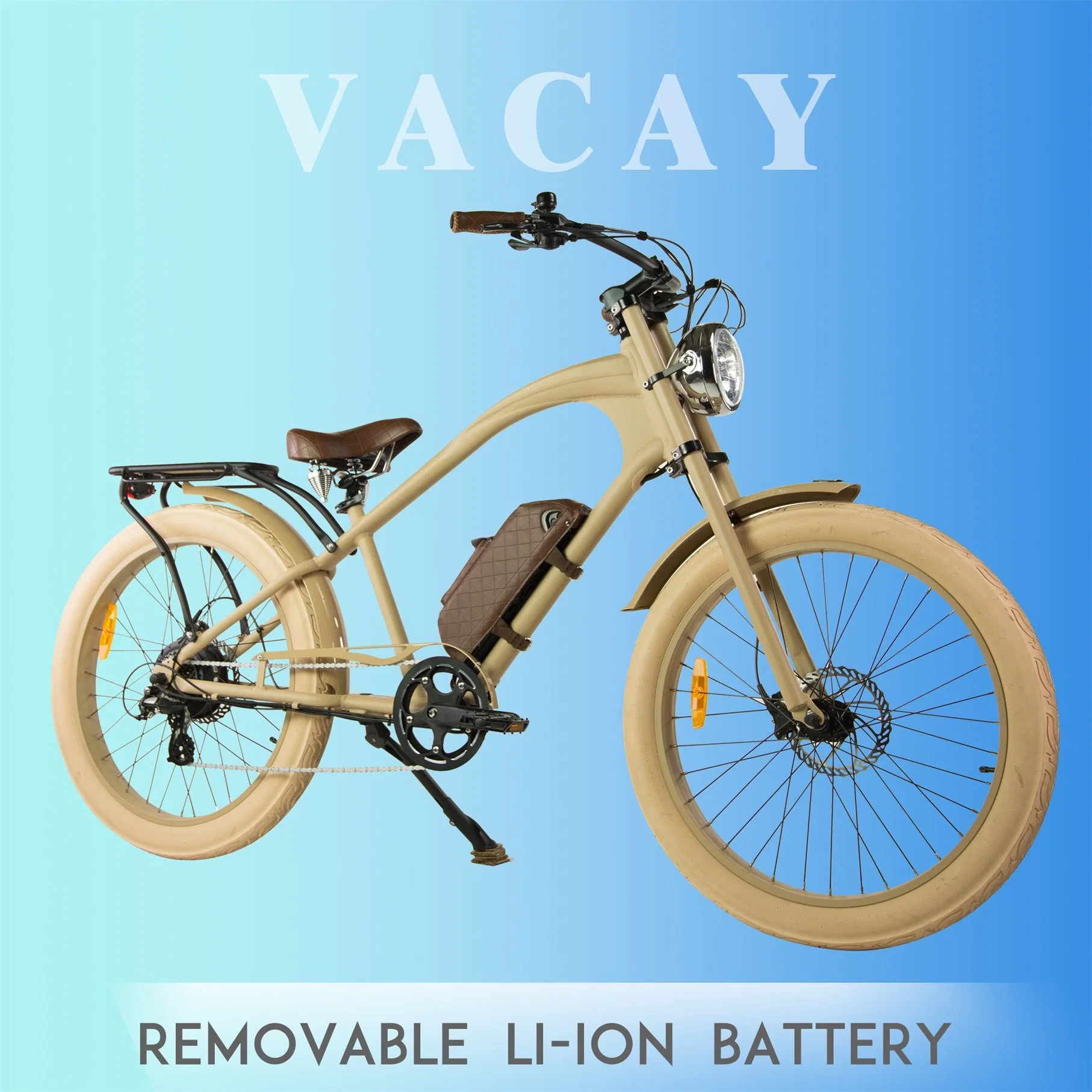 Europe Top Selling Electric Bike with CE / En15194 36V Li Ion Battery Removable Lithium Battery