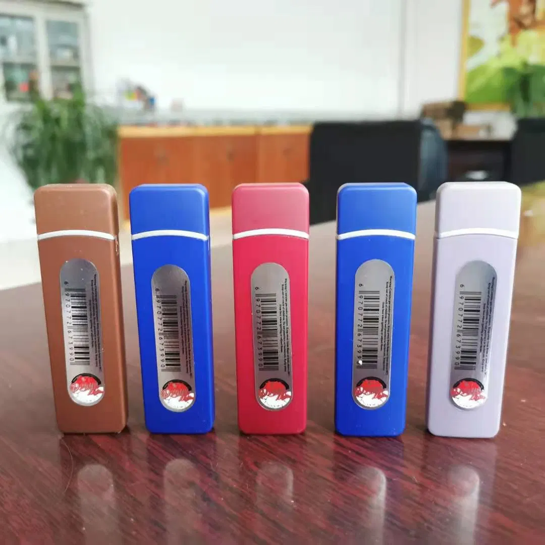 USB Charging Windproof Electronic Fingerprint Arc Lighter