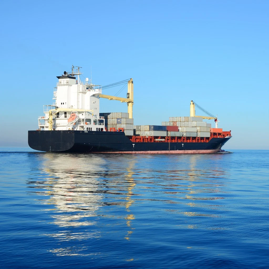 Sea Shipping Agent Service From China to New Zealand