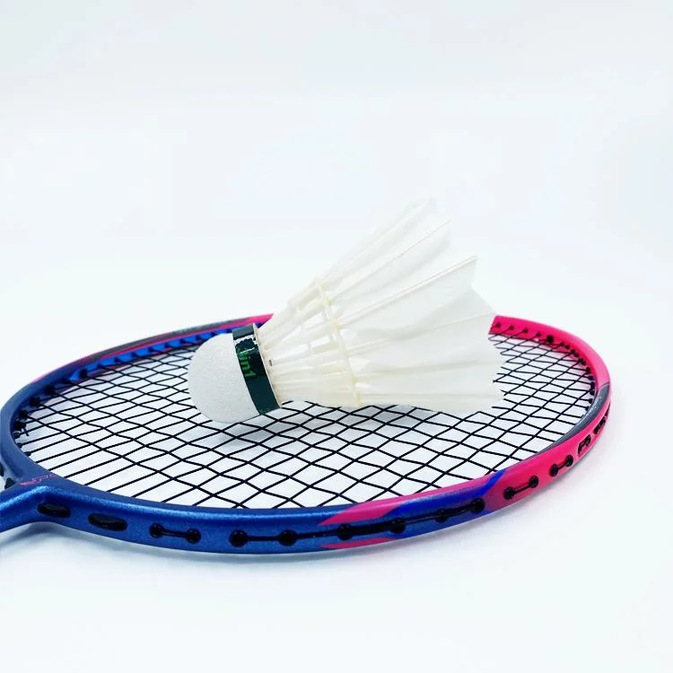 Dmantis D7 Model Wholesale/Supplier Supply Training Equipment Badminton Racket for Professional Player Customization Available