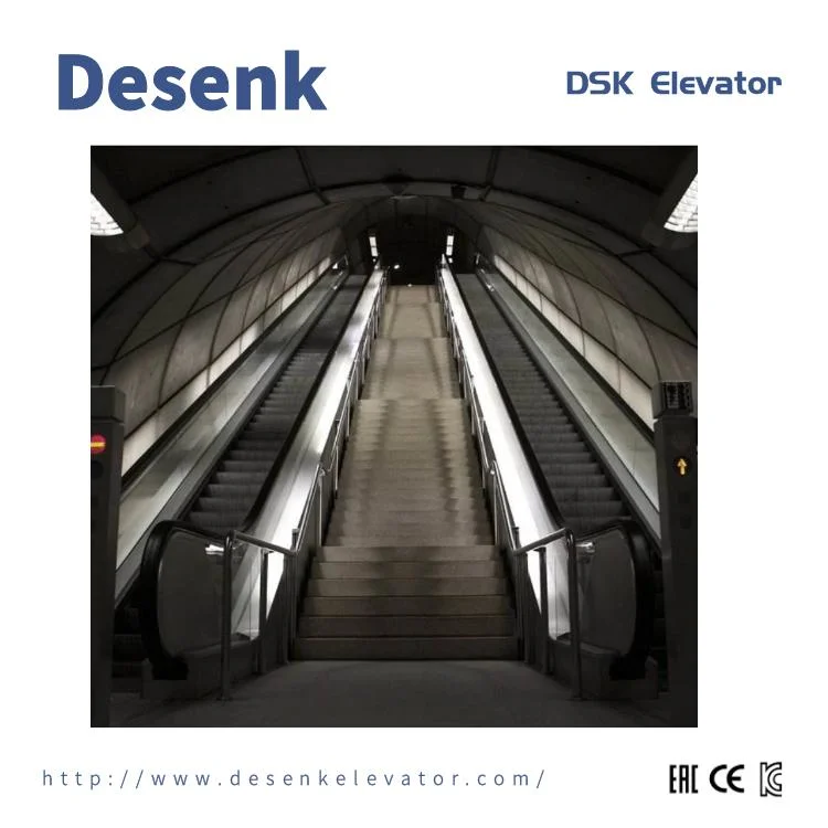 Desenk China Electric Escalator Outdoor Cost Escalators for Sale