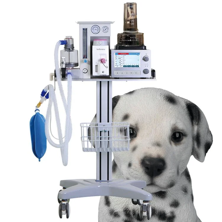 Good After Sales Service Veterinary Anesthesia Machine with Ventilator Dm6b